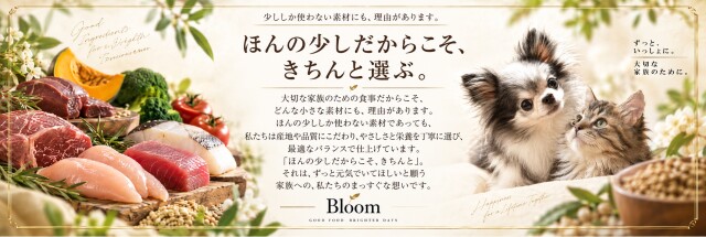 トップバナー