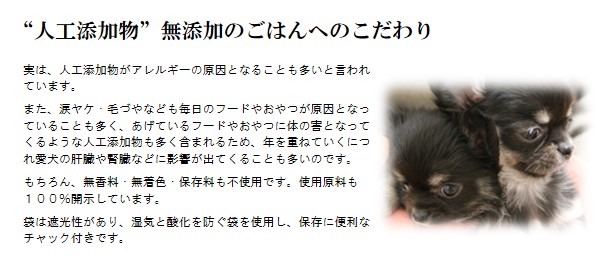 雅